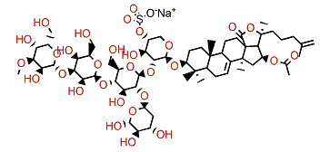 Okhotoside A2-1